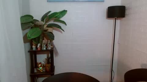 Snapshot of girlwhobelieveinmagic chatting on 02-05-25, 09:46 Callmenor online show from 02-05-25, 09:46