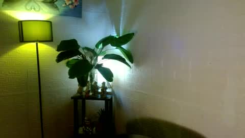 Snapshot of girlwhobelieveinmagic chatting on 02-11-25, 10:04 Callmenor online show from 02-11-25, 10:04