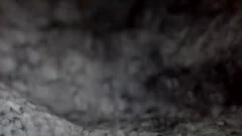 e-Bizl online show from 12-07-24, 11:51