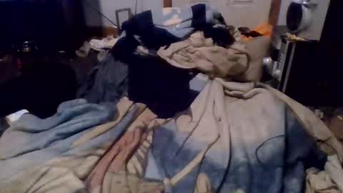 e-Bizl online show from 12-16-24, 04:55