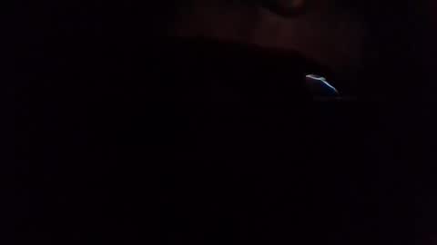 e-Bizl online show from 03-07-25, 06:57