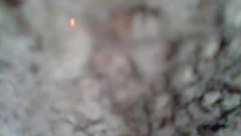 e-Bizl online show from 03-07-25, 01:18