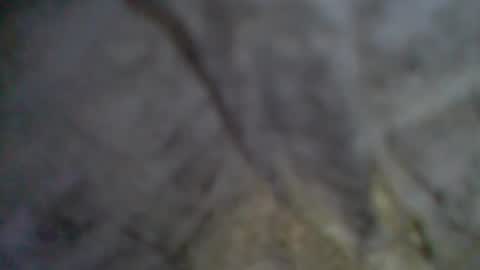 e-Bizl online show from 09-11-25, 09:04