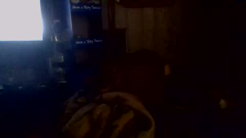 e-Bizl online show from 11-02-25, 05:10