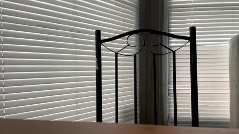 glazehoney online show from 01-10-25, 05:02