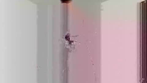 Snapshot of goblue4133 chatting on 12-25-24, 05:37 goblue4133 online show from 12-25-24, 05:37