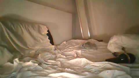 Snapshot of godonsin chatting on 12-17-24, 07:50 godonsin online show from 12-17-24, 07:50