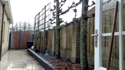 Snapshot of goldenelixxxir chatting on 12-23-24, 12:41   online show from 12-23-24, 12:41