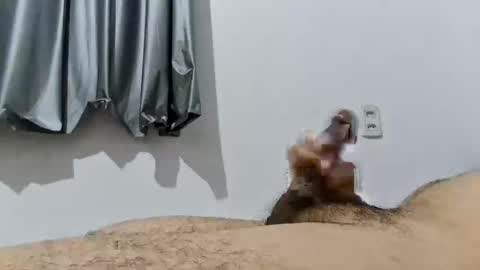 Good boy online show from 12-19-25, 01:23