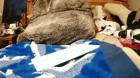 Juicy Booty online show from 12-27-24, 06:10