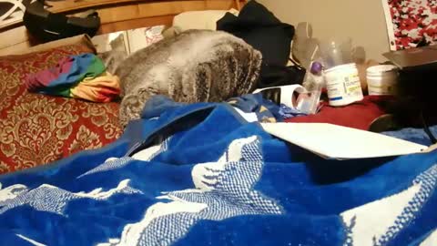 Juicy Booty online show from 12-28-24, 03:59