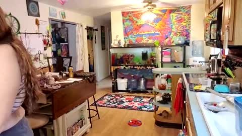 goodgirlcelestecat online show from 11-21-25, 04:05