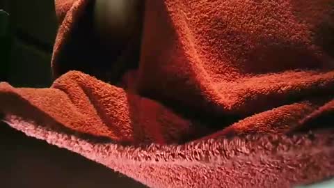 Snapshot of grapefruit chatting on 03-01-25, 09:59 grapefruit online show from 03-01-25, 09:59