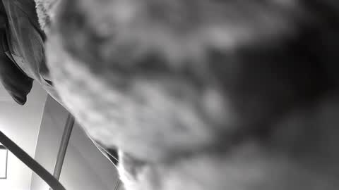 Get US to 1000 you wont be disapointed online show from 12-10-24, 06:22