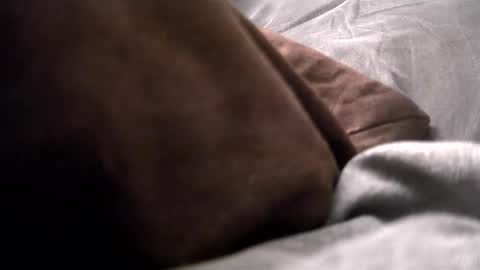 Get US to 1000 you wont be disapointed online show from 12-16-24, 04:13