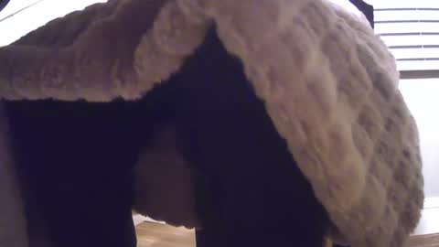 grower2153 online show from 11-24-25, 12:05