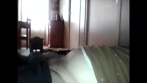 guizmeau72 online show from 10-29-25, 01:46