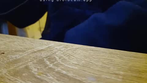 Franky online show from 09-18-25, 10:56