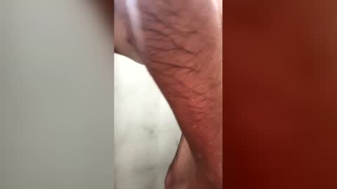 Snapshot of gustavolpz17 chatting on 03-01-26, 08:44 gustavolpz17 online show from 03-01-26, 08:44