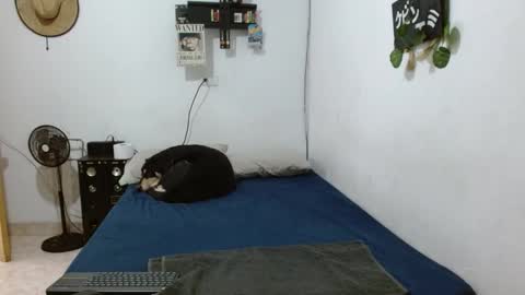 Guts online show from 12-06-24, 05:33