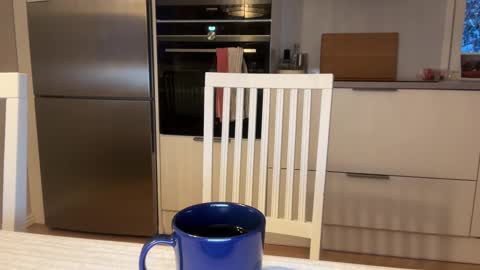 Snapshot of guyfromfinland1981 chatting on 02-18-25, 05:31 NaughtyFitHusband online show from 02-18-25, 05:31