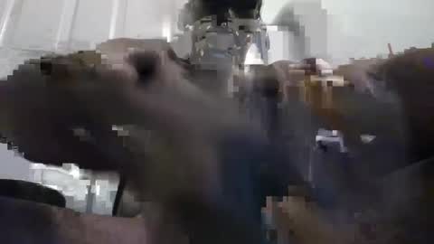 Snapshot of guywithacam2 chatting on 02-28-25, 04:43 guywithacam2 online show from 02-28-25, 04:43