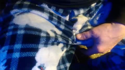 H2omygod online show from 01-17-25, 02:07