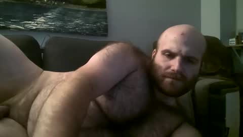 Snapshot of hairiestbear chatting on 03-02-25, 08:16 Hairiest Bear online show from 03-02-25, 08:16