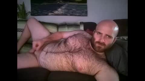 Hairiest Bear online show from 04-22-26, 11:39