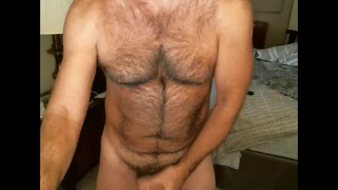 Snapshot of hairypecsguy chatting on 12-17-24, 03:06 Hairy pecs online show from 12-17-24, 03:06