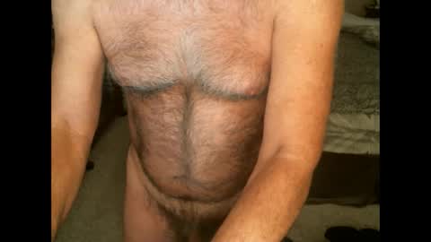 Snapshot of hairypecsguy chatting on 03-08-25, 08:44 Hairy pecs online show from 03-08-25, 08:44