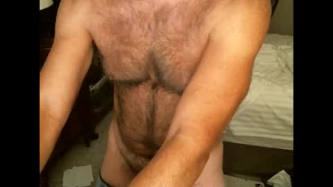 Snapshot of hairypecsguy chatting on 09-08-25, 06:18 Hairy pecs online show from 09-08-25, 06:18