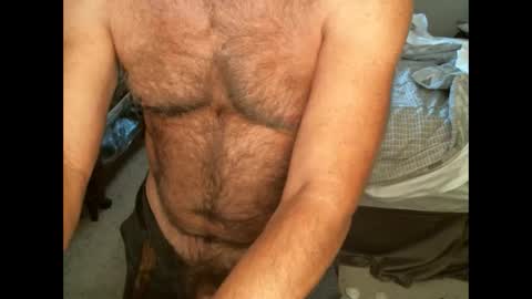 Snapshot of hairypecsguy chatting on 09-12-25, 11:15 Hairy pecs online show from 09-12-25, 11:15