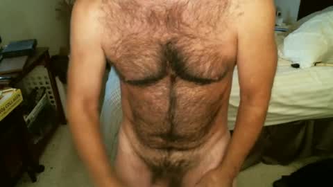 Snapshot of hairypecsguy chatting on 10-14-25, 04:57 Hairy pecs online show from 10-14-25, 04:57