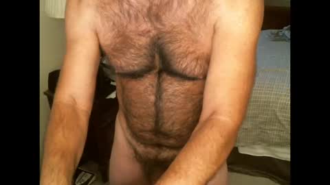 Snapshot of hairypecsguy chatting on 10-17-25, 09:06 Hairy pecs online show from 10-17-25, 09:06