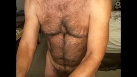 Snapshot of hairypecsguy chatting on 11-02-25, 06:49 Hairy pecs online show from 11-02-25, 06:49