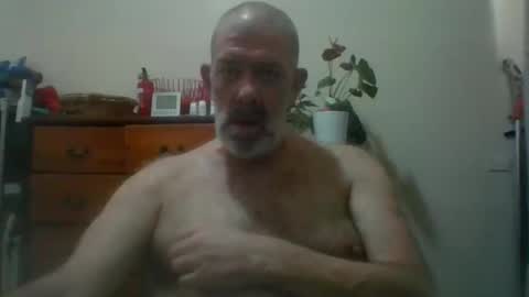 HairyPigSyd online show from 11-14-25, 03:27