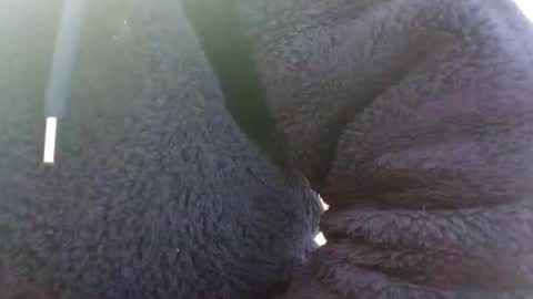 hairypussyxl online show from 01-13-25, 05:33