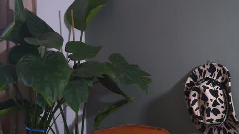 HairyRobXxX online show from 09-20-25, 10:05