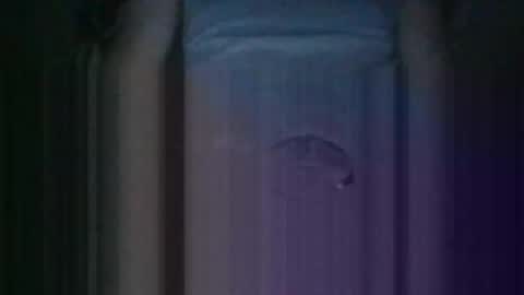 Snapshot of haitham419382 chatting on 10-11-25, 12:36 Kiss cocky online show from 10-11-25, 12:36