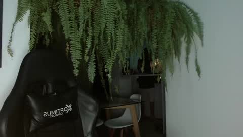 Snapshot of halan_jr chatting on 02-26-25, 06:47 halan online show from 02-26-25, 06:47