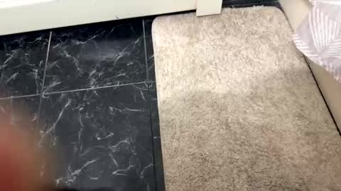 halebb online show from 10-20-25, 01:06