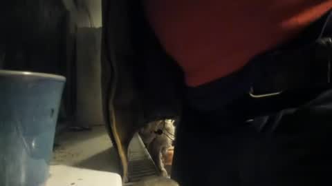 handncocknocum online show from 12-08-24, 05:22