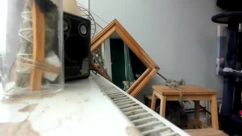 handncocknocum online show from 02-19-25, 09:06