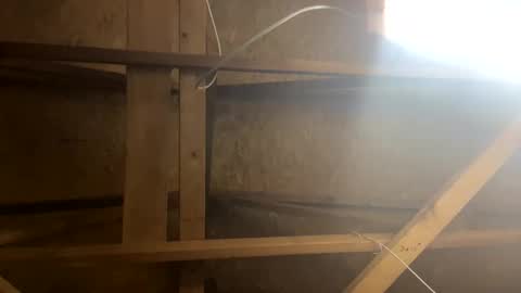 handsomeda1 online show from 01-30-25, 10:29