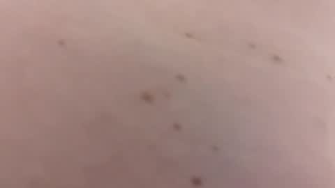 handsomerob42 online show from 01-18-26, 06:23