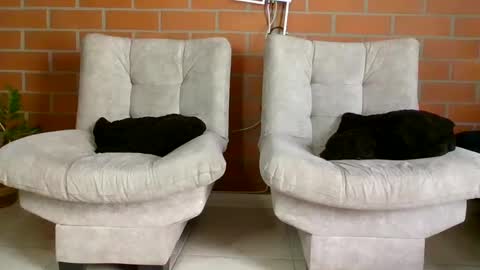 Snapshot of hanna_beily chatting on 01-20-25, 06:32 hanna online show from 01-20-25, 06:32