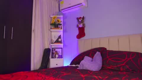 Snapshot of hanna_chris chatting on 12-27-24, 10:48 HANNA  online show from 12-27-24, 10:48