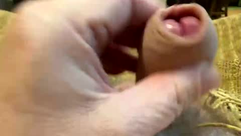 happygerman68 online show from 10-27-25, 09:30