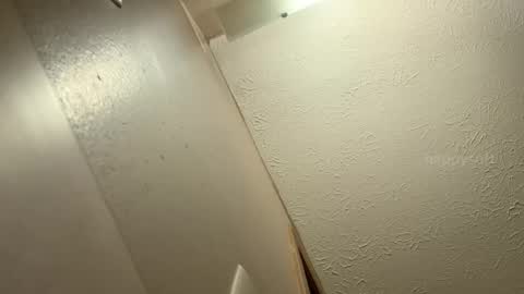 Snapshot of happysoft chatting on 12-09-24, 06:14 meatwad online show from 12-09-24, 06:14